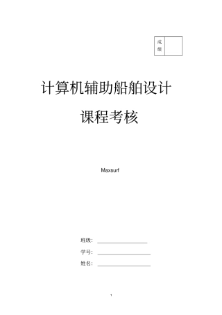 maxsurf散货船课程考核解析