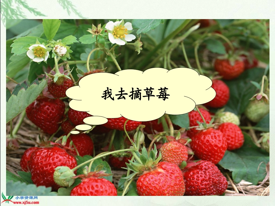 北师大版数学二年级下册《分草莓》PPT课件_第2页