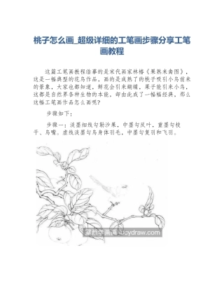 桃子怎么画_超级详细的工笔画步骤分享工笔画教程