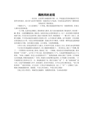 偶然间的发现
