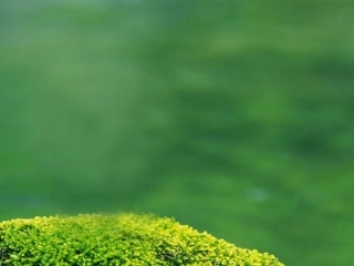 [中学联盟]湖南省平江县第三中学高中语文必修1+1+沁园春·长沙+课件（共29张PPT）