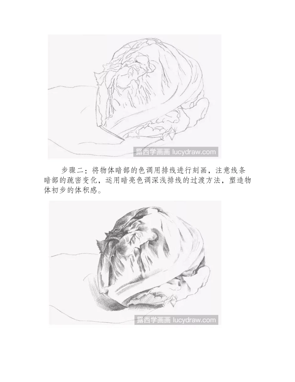 素描教程：怎么画圆生菜素描教程_第2页