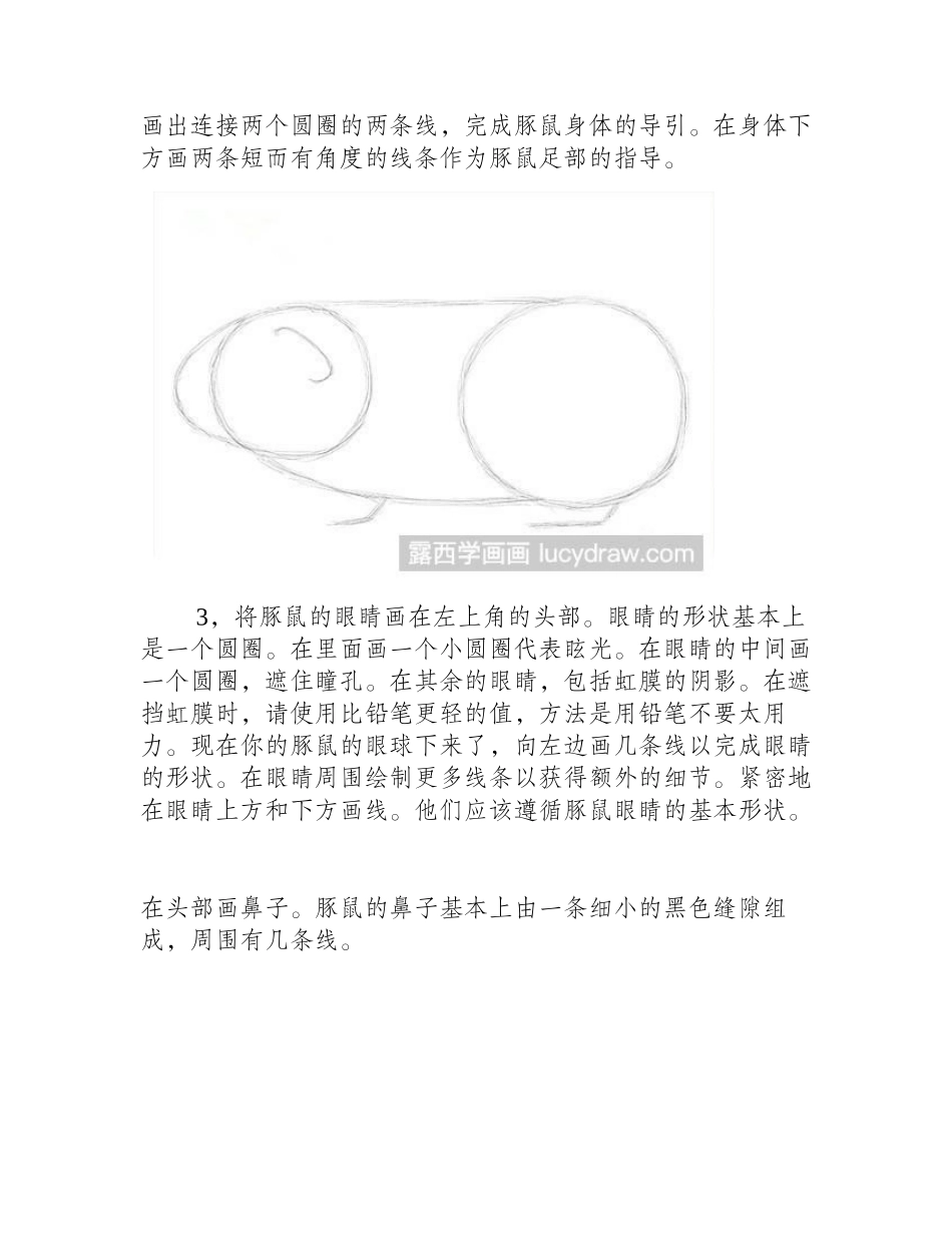 素描教程：豚鼠怎么画素描教程_第2页