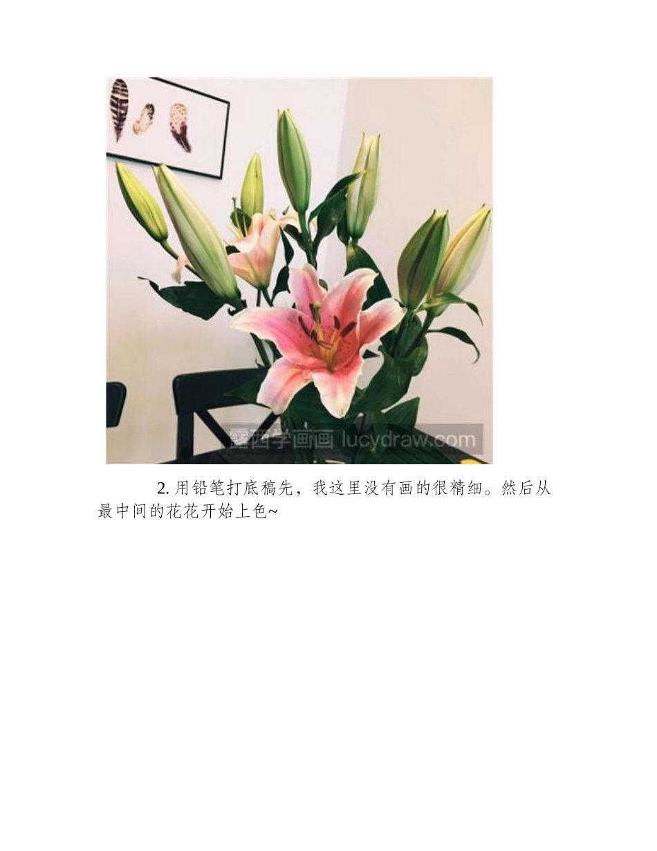水彩画教程：教你画百合水彩画教程_第2页