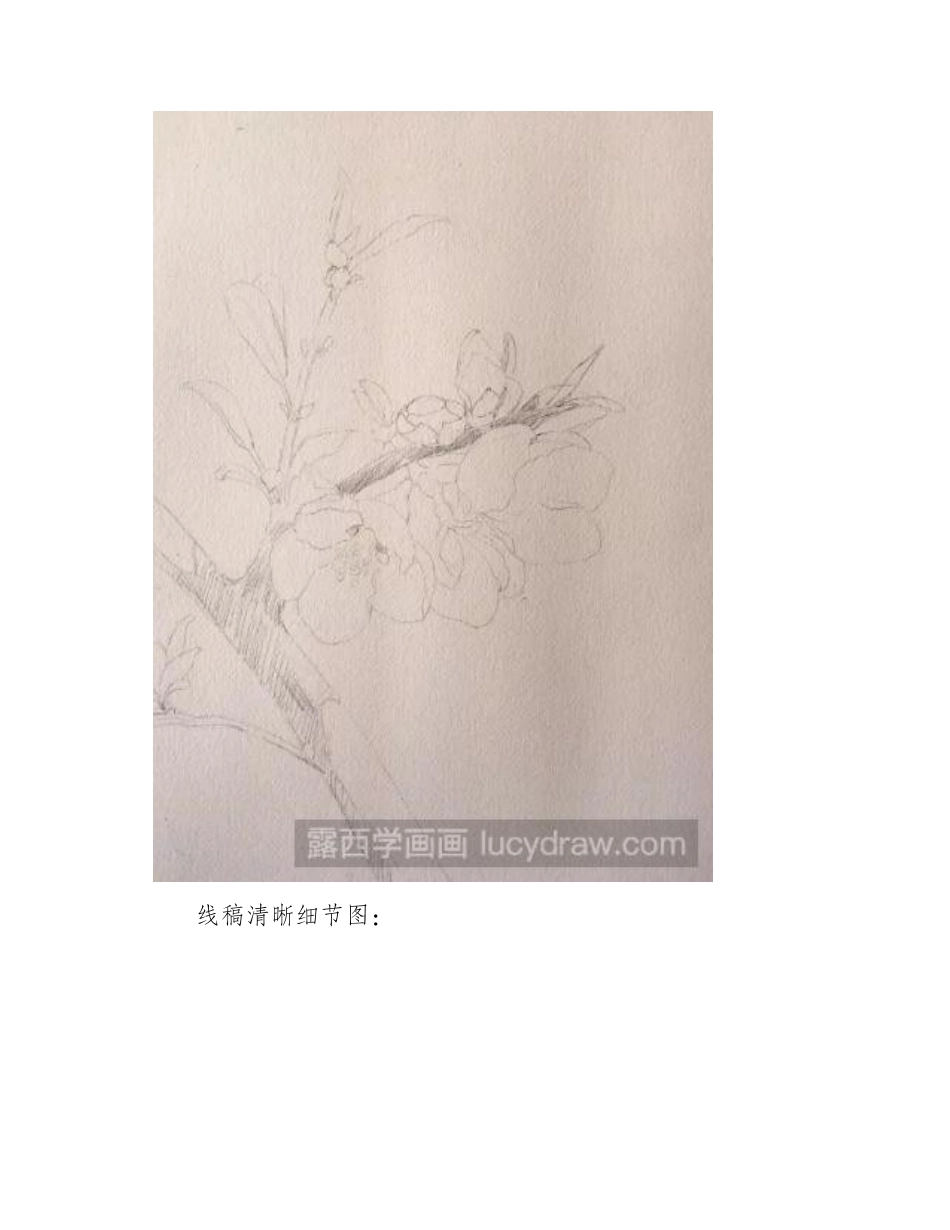 水彩画花卉教程：一枝梨花的画法水彩画教程1_第2页