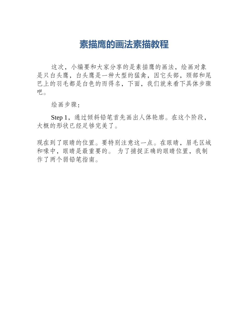 素描鹰的画法素描教程_第1页