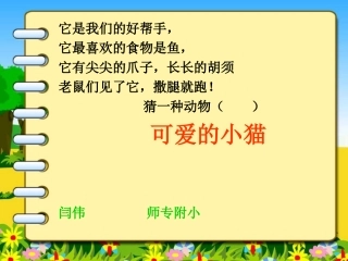 闫伟可爱的小猫