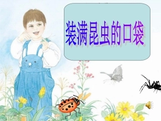 三年级下册《装满昆虫的口袋》赵紫燕