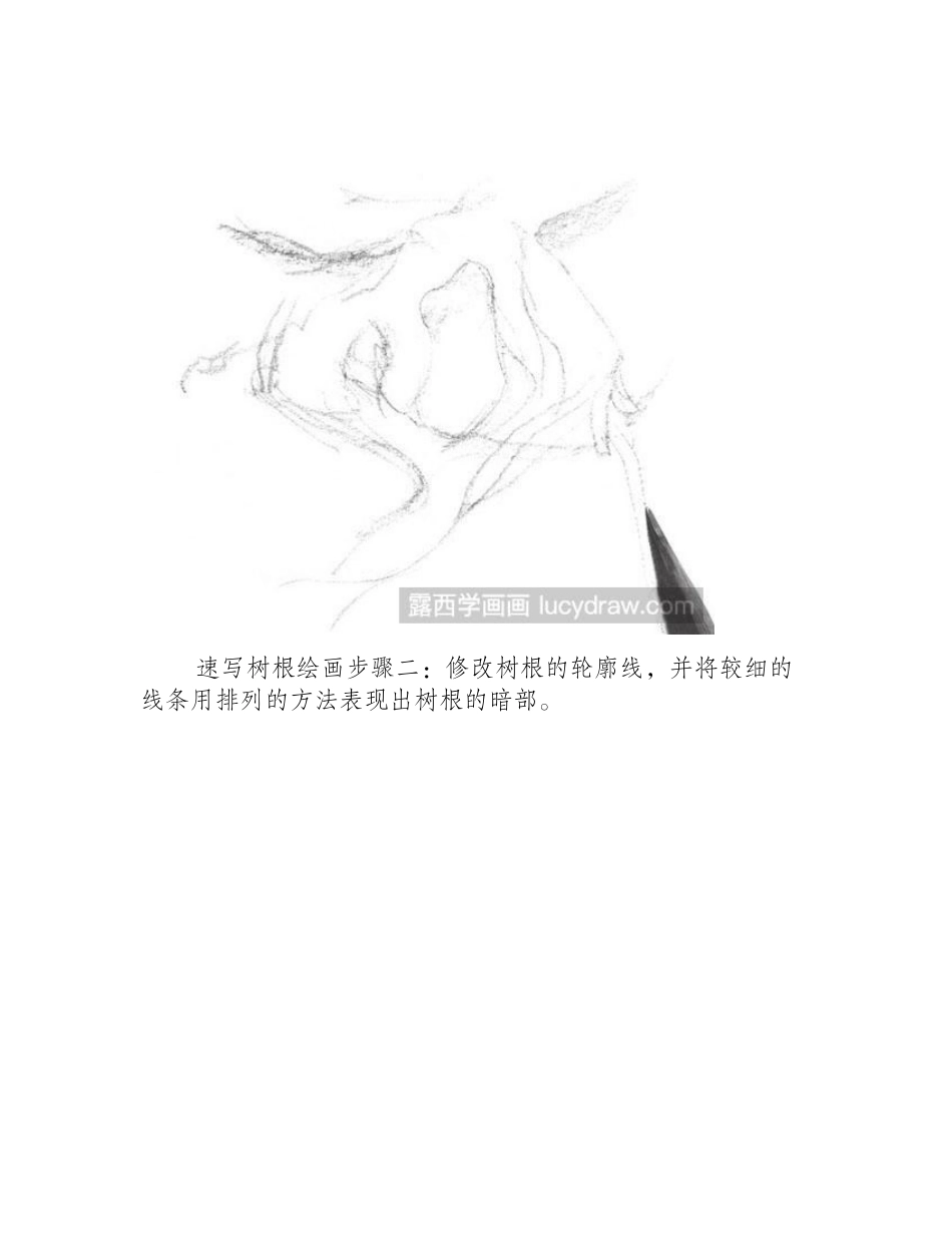 速写树根教程速写教程_第2页
