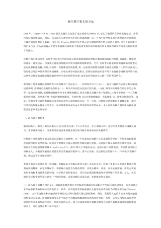 脑片膜片钳实验方法