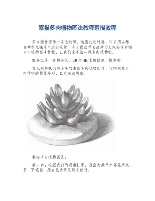 素描多肉植物画法教程素描教程