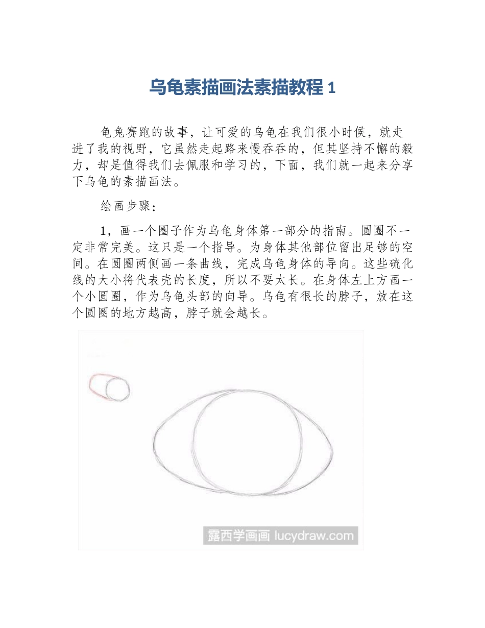 乌龟素描画法素描教程1_第1页