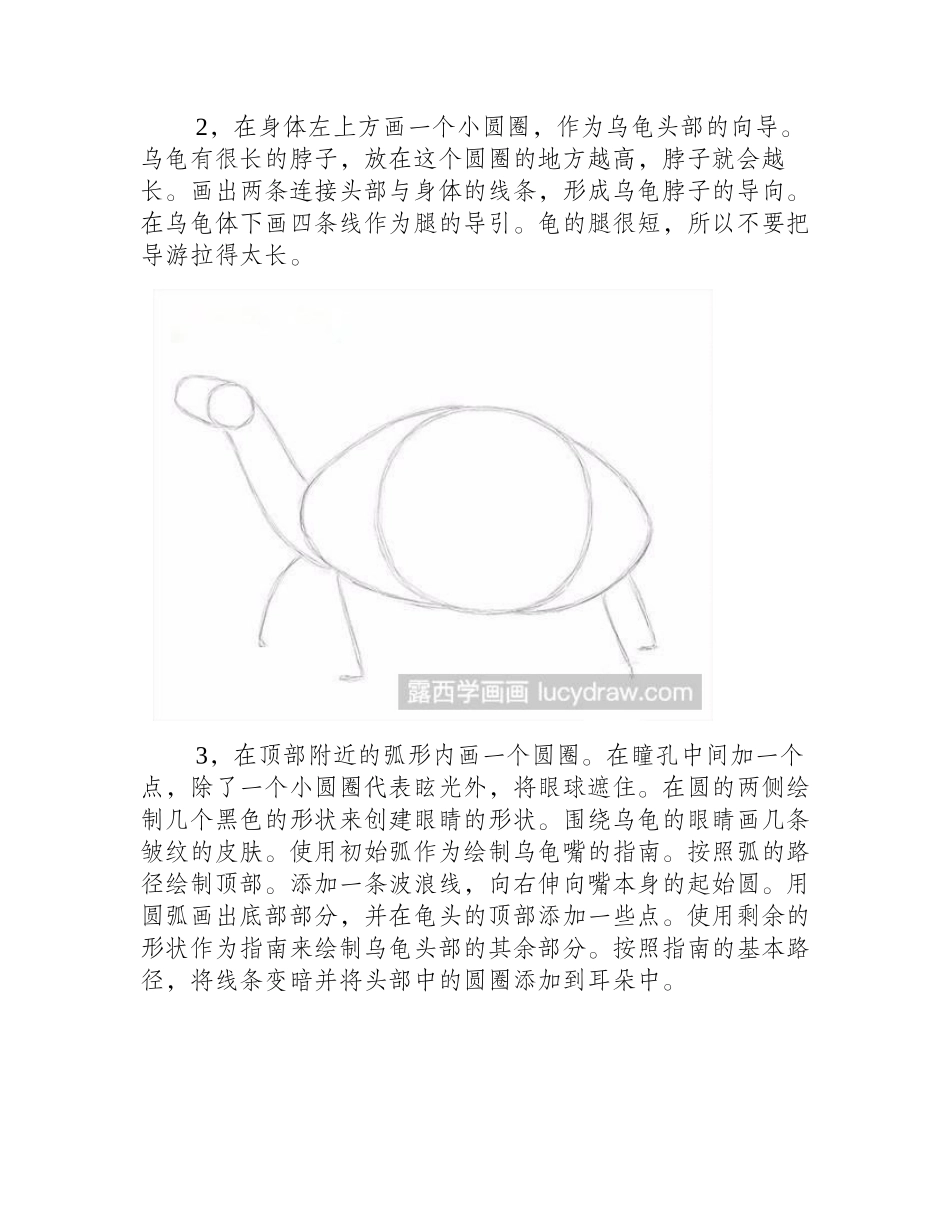 乌龟素描画法素描教程1_第2页