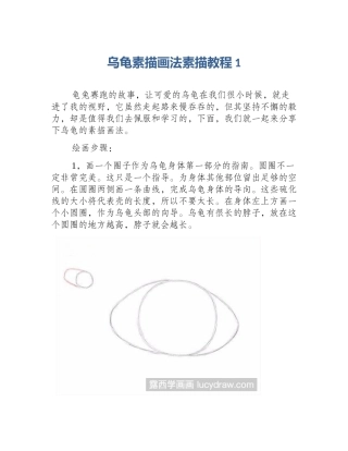 乌龟素描画法素描教程1