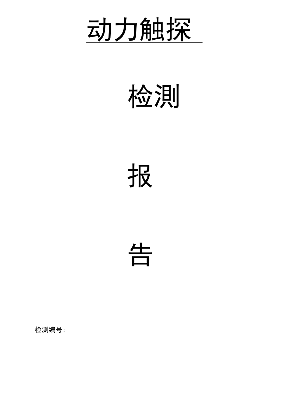 轻型重型圆锥动力触探检测报告_第1页