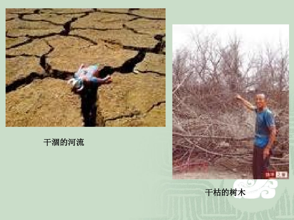七颗钻石课件 (2)_第2页