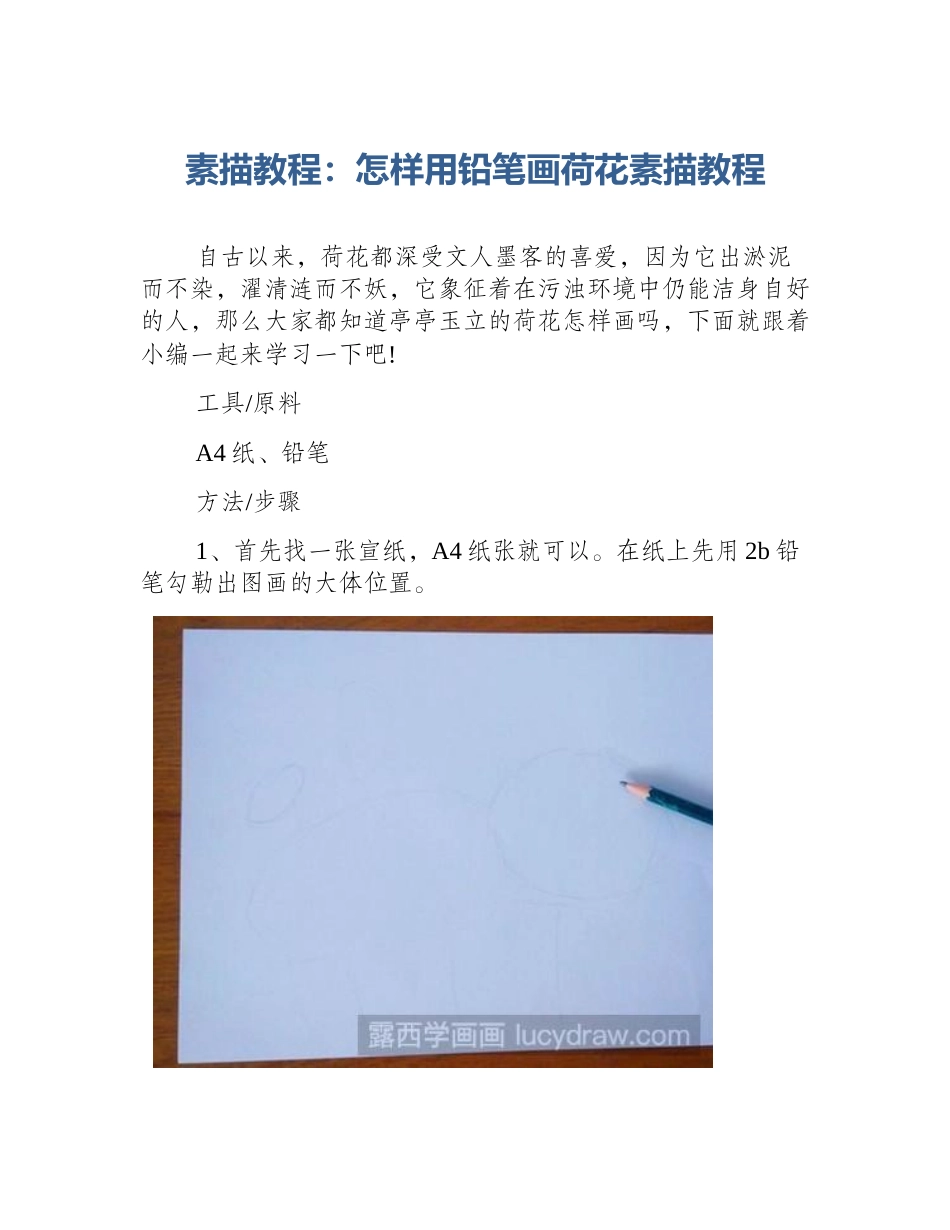 素描教程：怎样用铅笔画荷花素描教程_第1页