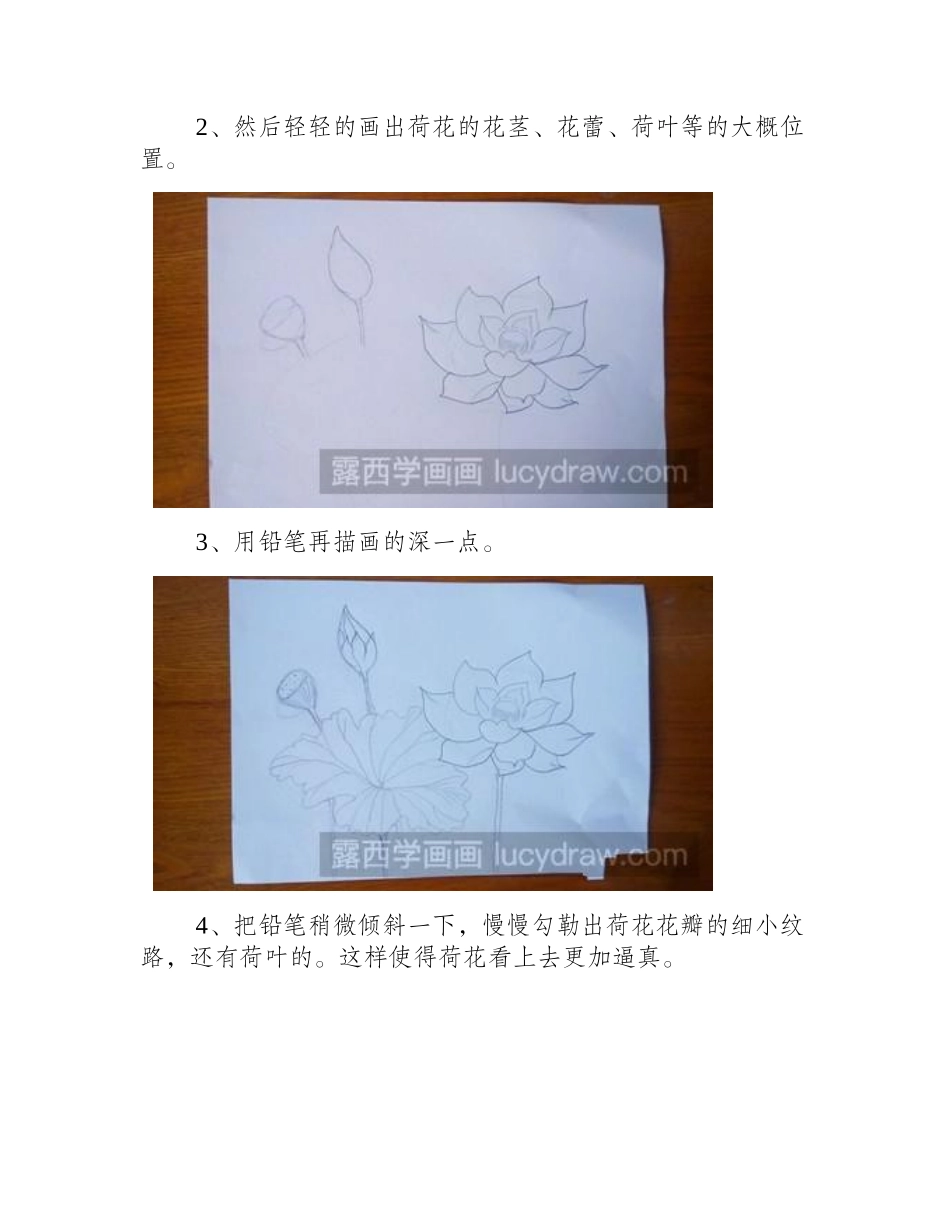 素描教程：怎样用铅笔画荷花素描教程_第2页