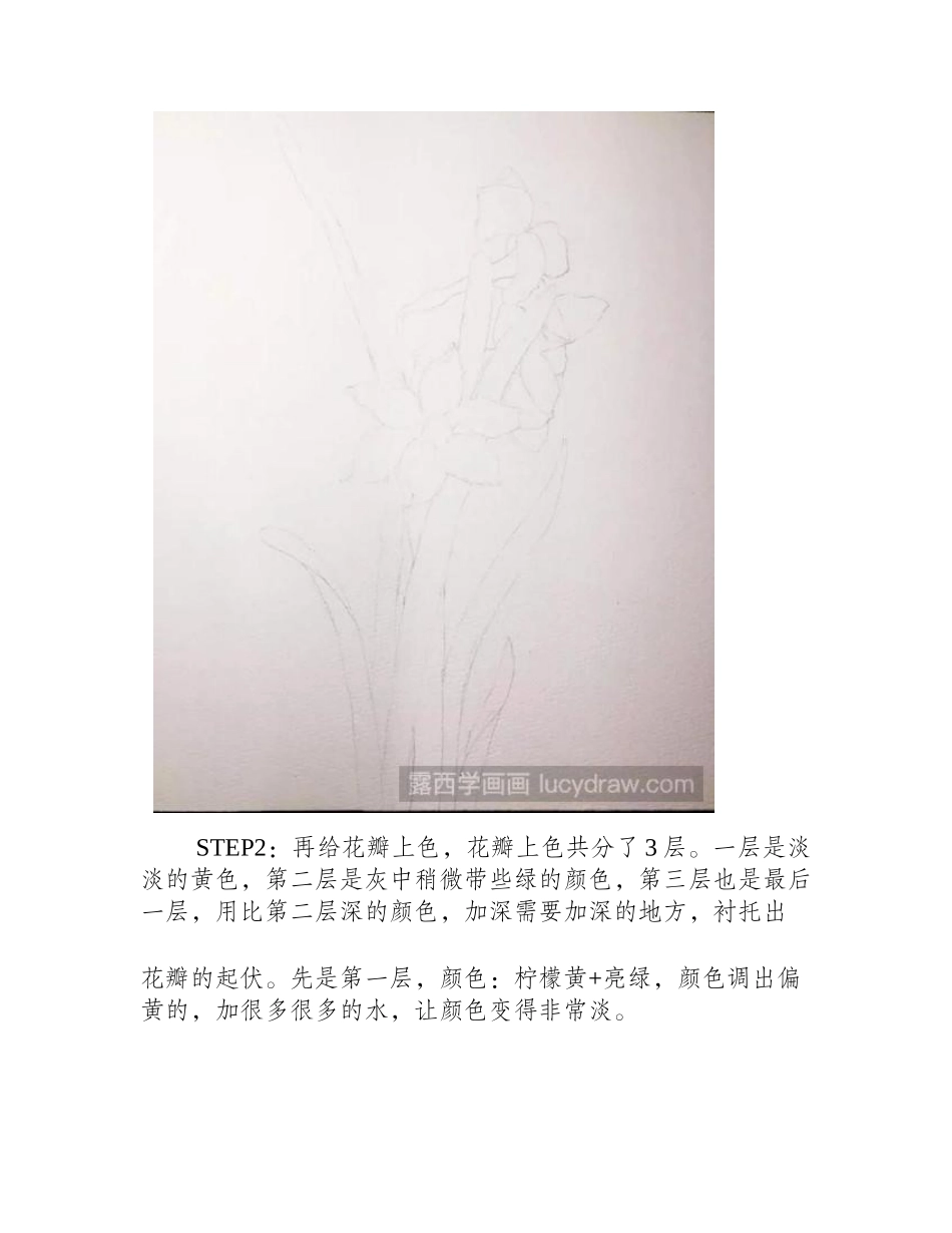 水仙水彩画教程水彩画教程_第2页