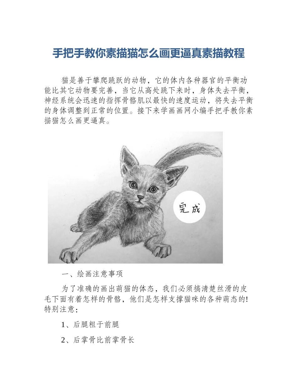 手把手教你素描猫怎么画更逼真素描教程_第1页