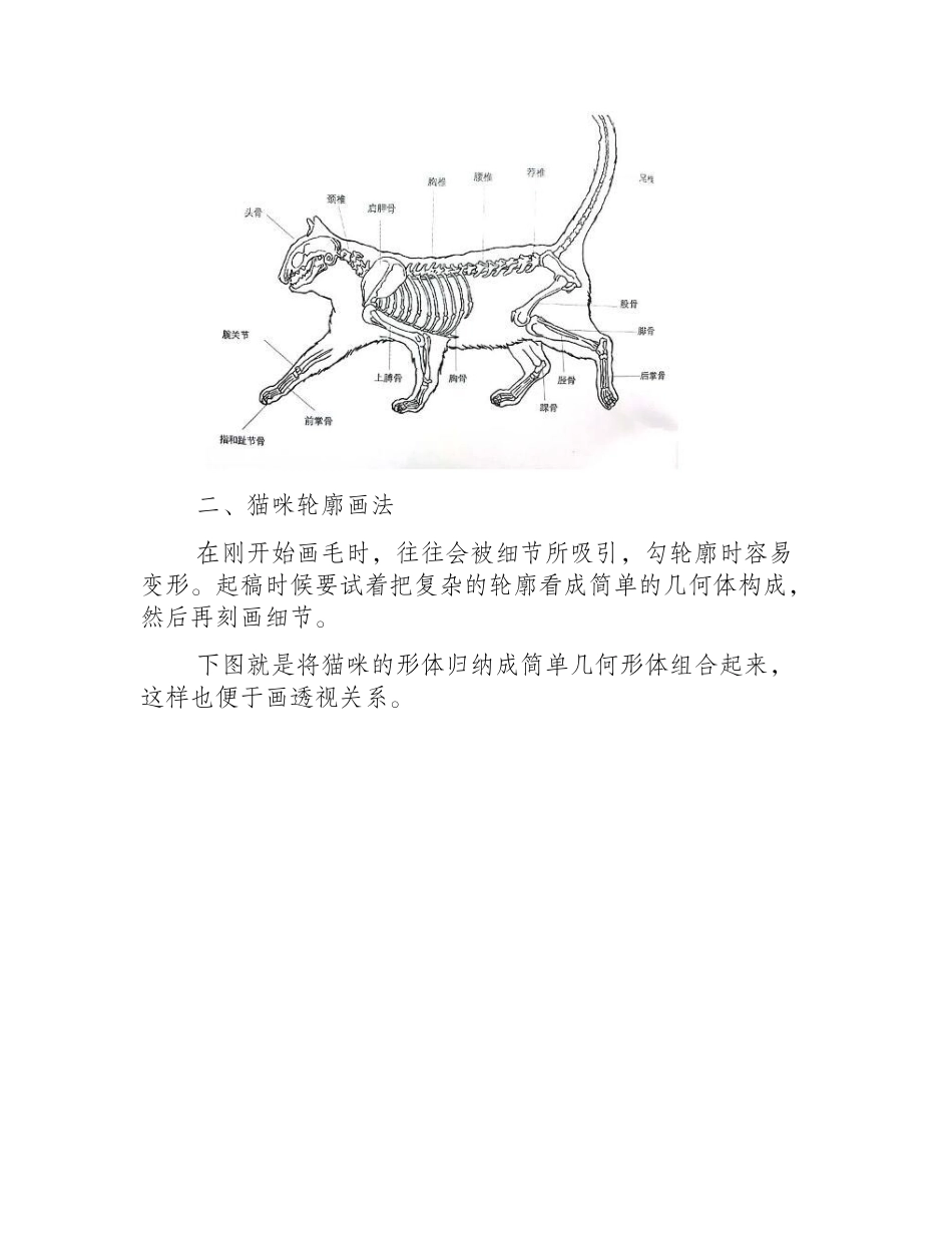 手把手教你素描猫怎么画更逼真素描教程_第2页