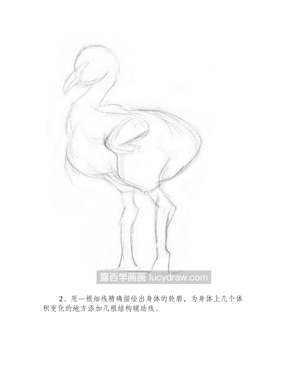 素描教程：小火烈鸟素描教程_第2页