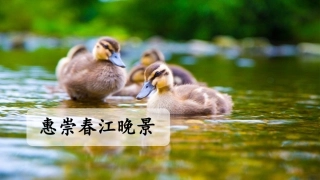 《惠崇春江晚景》ppt