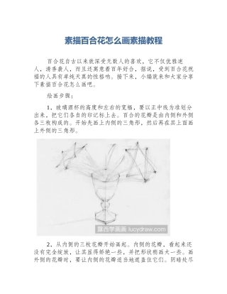 素描百合花怎么画素描教程