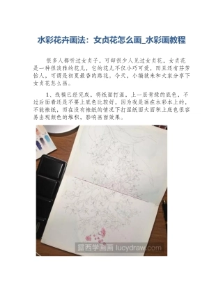 水彩花卉画法：女贞花怎么画_水彩画教程