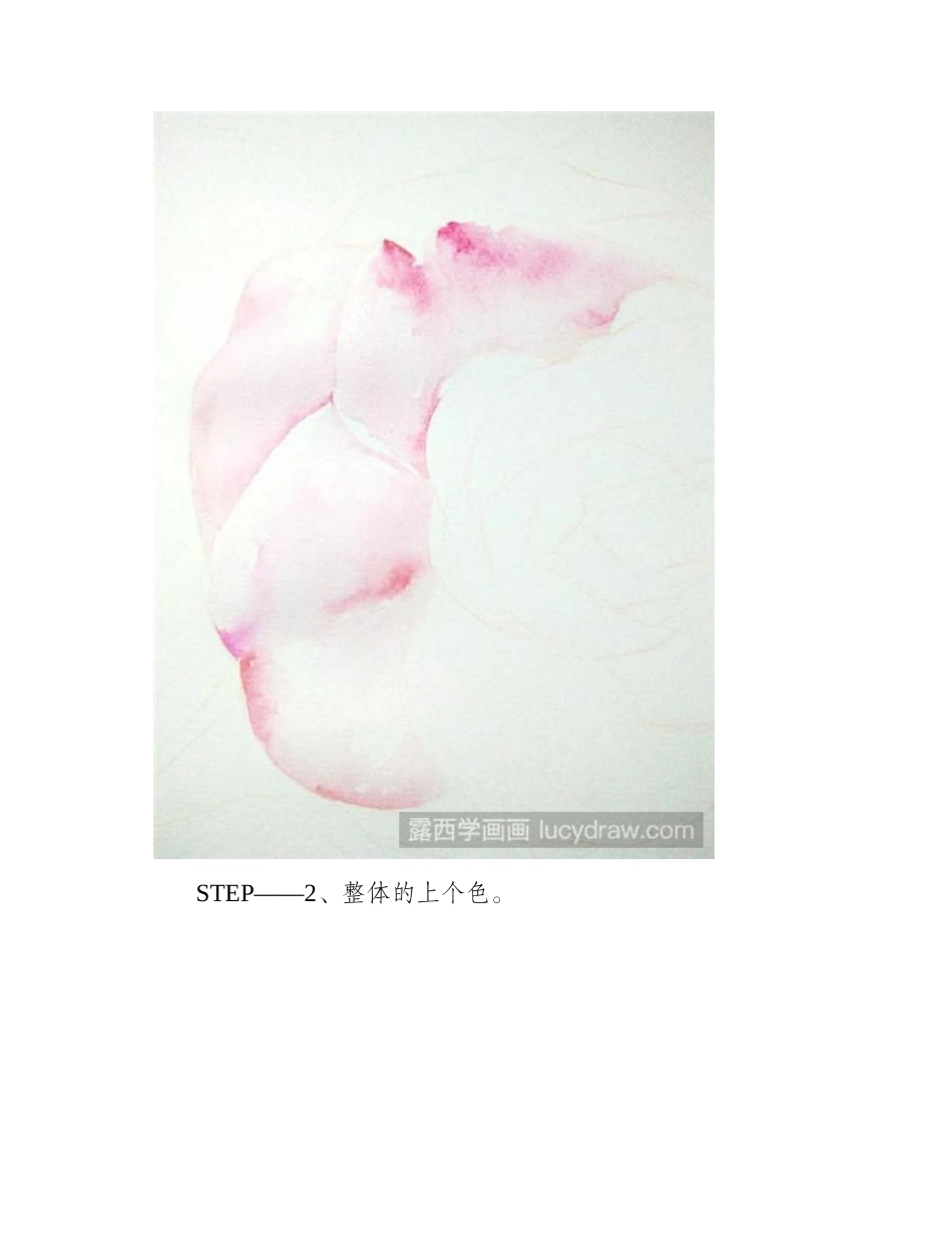 山茶花开水彩画教程水彩画教程_第2页