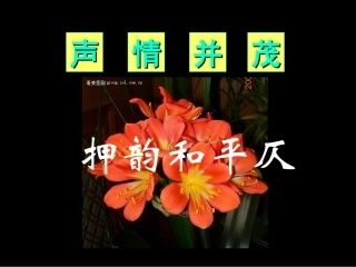 《声情并茂押韵和平仄》