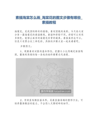 素描海棠怎么画_海棠花的图文步骤有哪些_素描教程