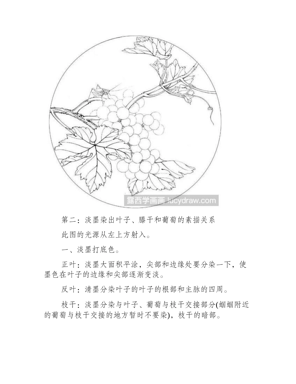 葡萄工笔画画法教程工笔画教程_第2页