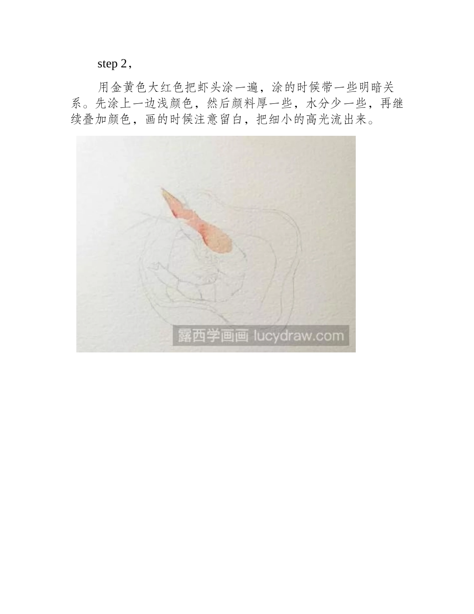 水彩画教程：教你画油焖大虾水彩画教程_第2页