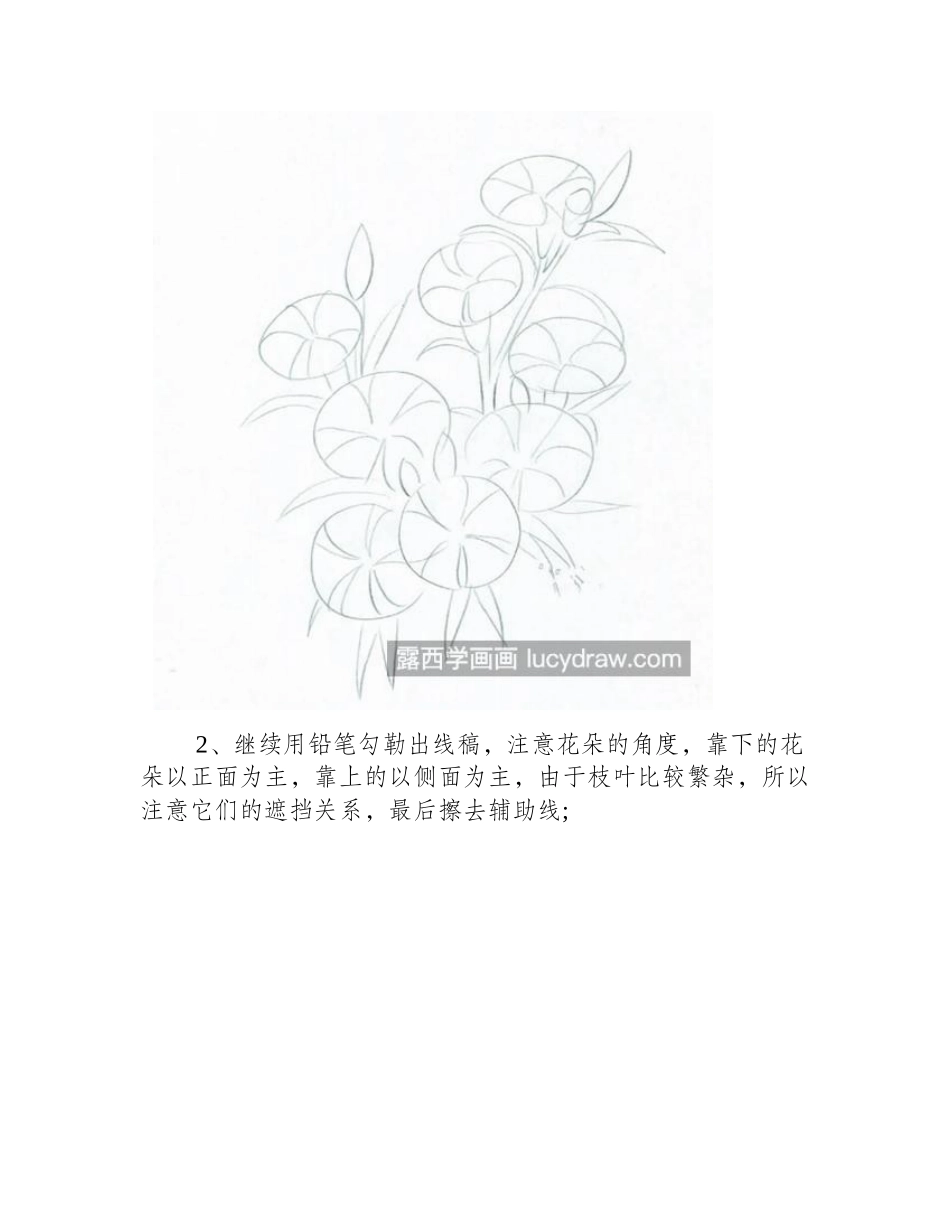 石竹花线描如何画_单色线物体的画法是什么_素描教程_第2页