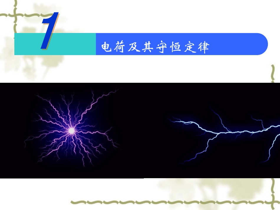 电荷及其守恒定律新课标_第1页