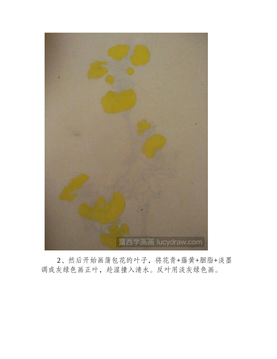 蒲包花怎么画_蒲包花的没骨画法步骤有哪些_国画教程_第2页