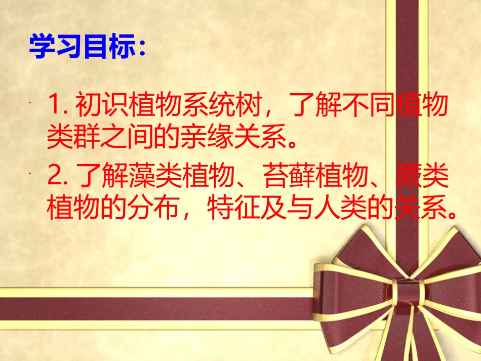 生物：北师大版八年级下222植物的主要类群（课件3）_第2页