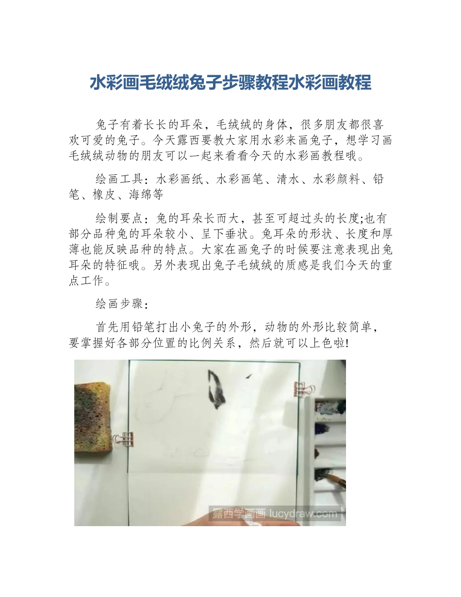 水彩画毛绒绒兔子步骤教程水彩画教程_第1页