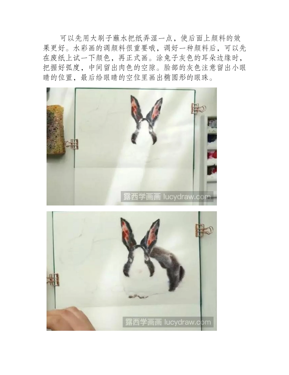 水彩画毛绒绒兔子步骤教程水彩画教程_第2页