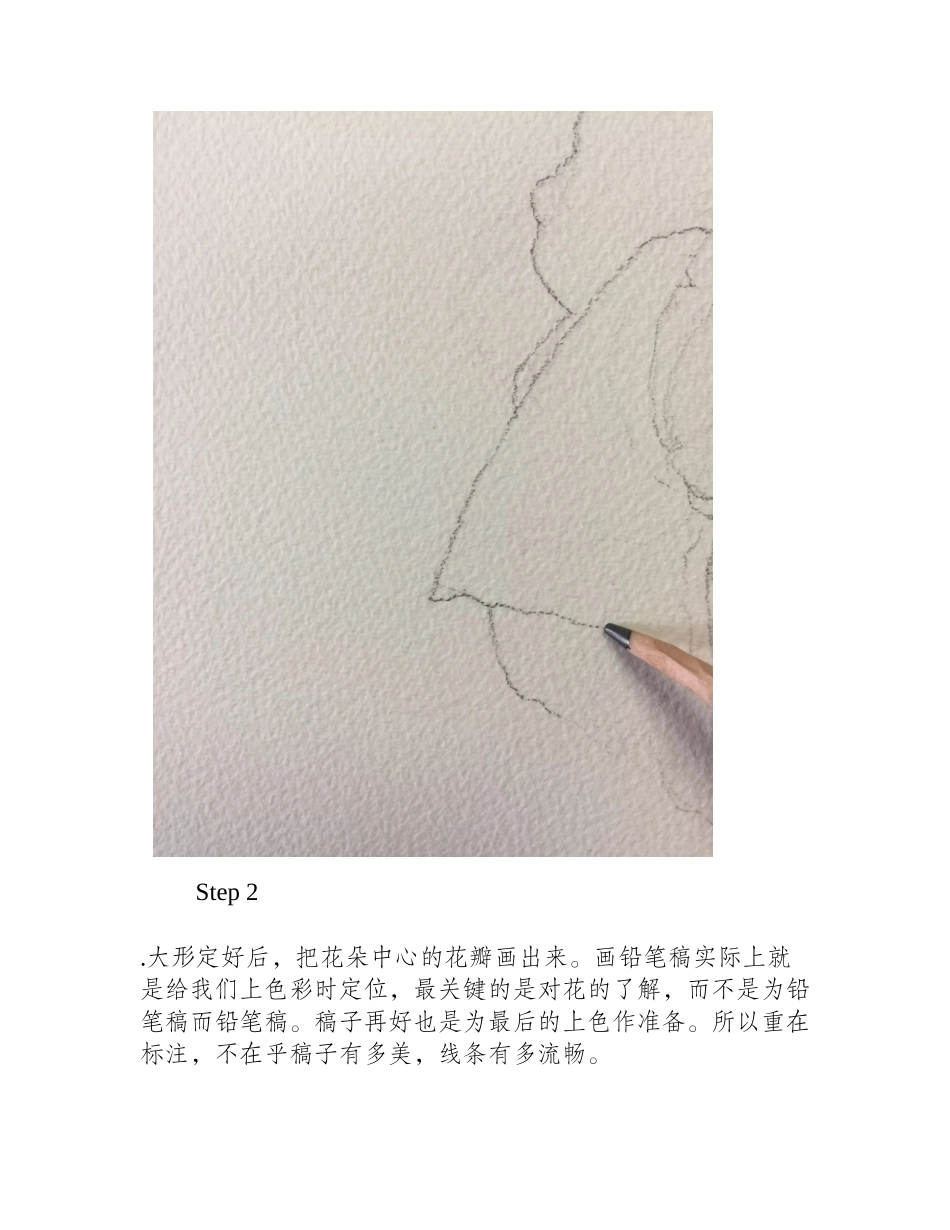 水彩画白玫瑰步骤教程水彩画教程_第2页