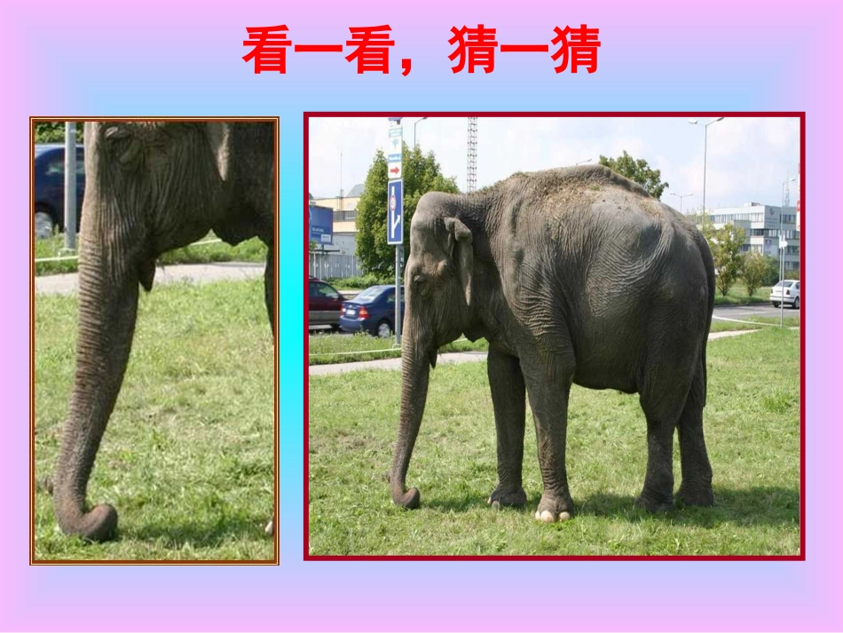 2013人教版小学数学二年级上册《观察物体》课件_第1页