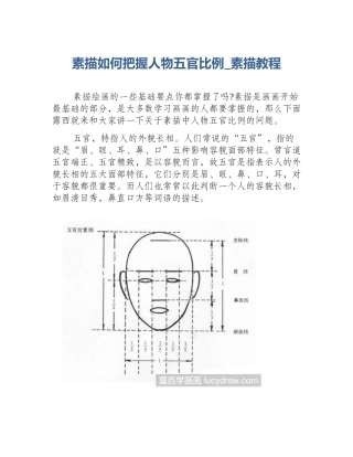 素描如何把握人物五官比例_素描教程