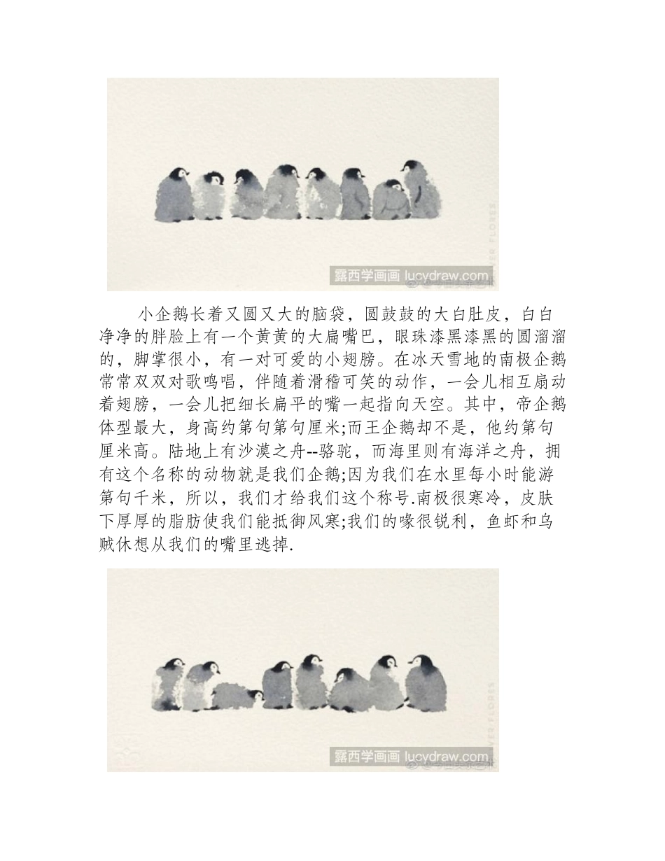 企鹅水彩画图片步骤水彩画教程_第2页