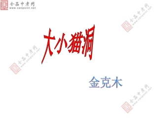 《大小猫洞》课件