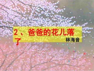 爸爸的花儿落了 (2)