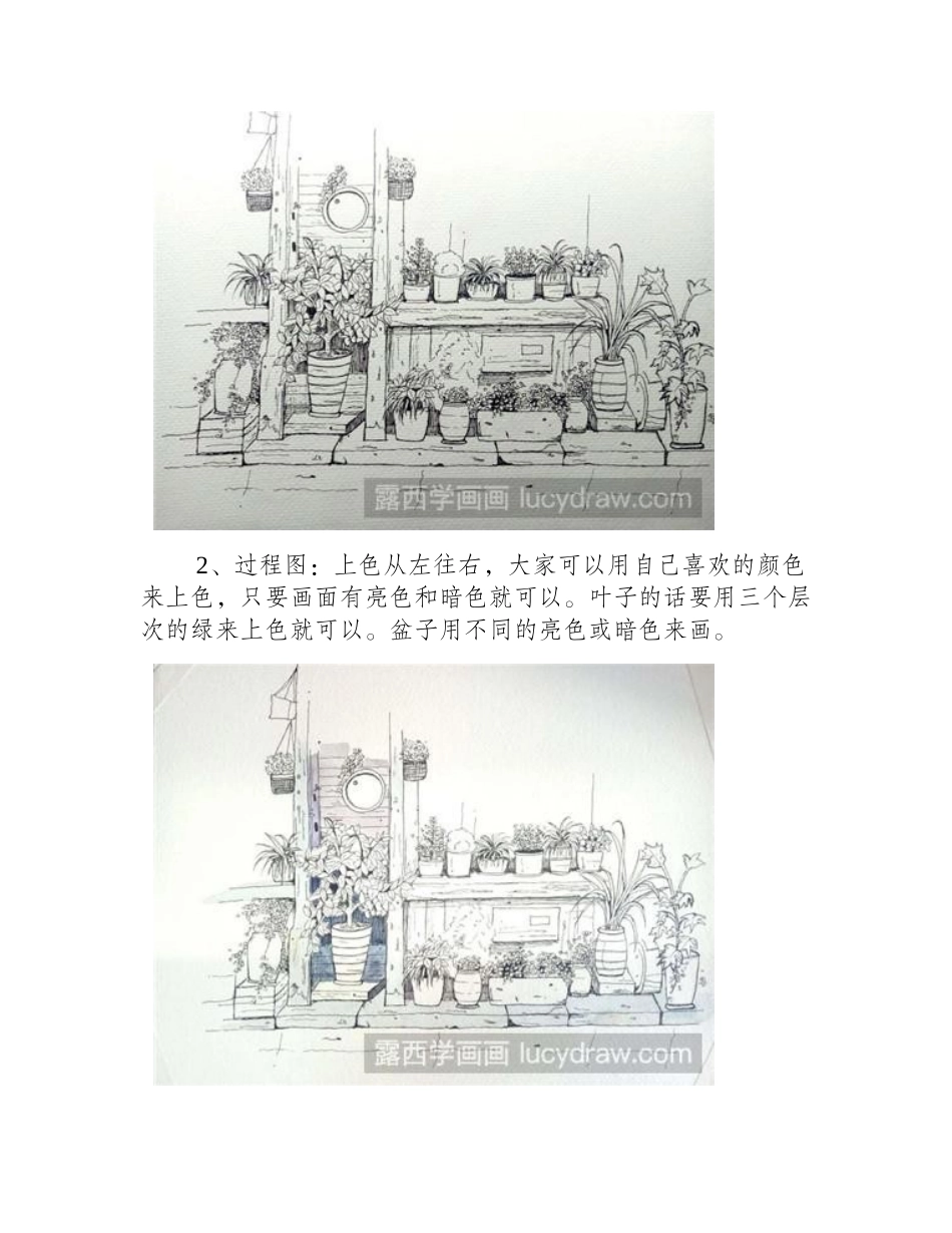 水彩画教程：教你画一组盆栽水彩画教程_第2页