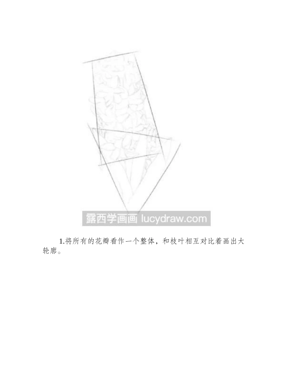 素描静物风信子的画法素描教程1_第2页