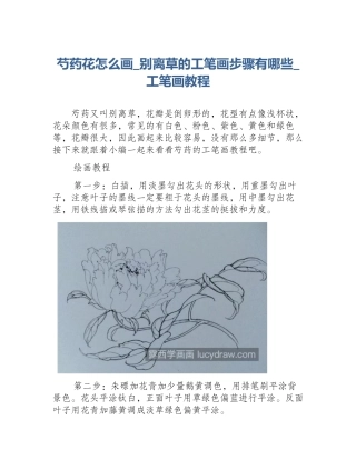 芍药花怎么画_别离草的工笔画步骤有哪些_工笔画教程