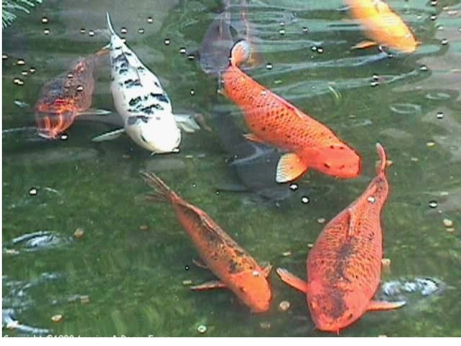 《光的折射》课件1_第2页